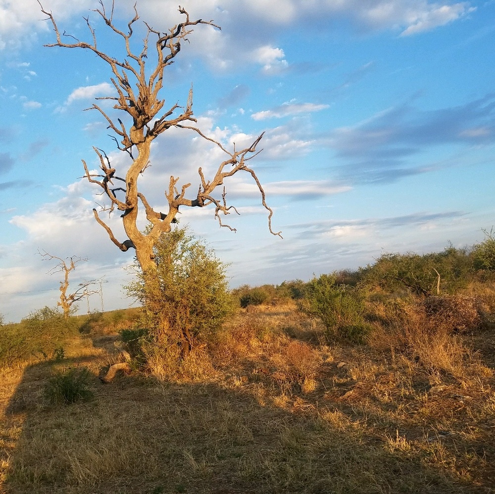 Meet your Posher, Sidney